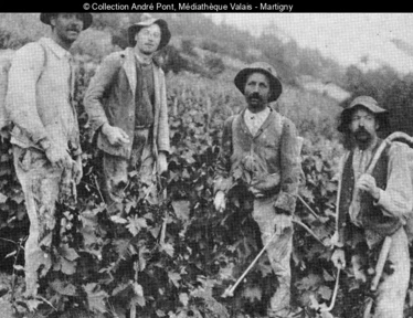 photo en noir-blanc de vignerons dans les vignes