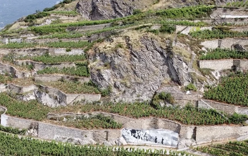 vignoble en terrasse du Valais avec des murs en pierres sèches