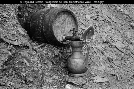 Photo en noir-blanc d'un fût de vin qui remplit une channe