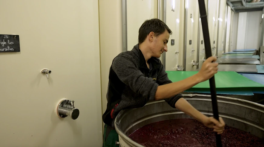 un jeune apprenti caviste fait du vin (Arnaud Franzé)