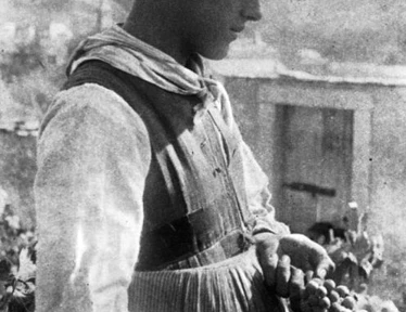 Photo en noir-blanc d'une femme en habits traditionnels valaisans récoltant du raisin
